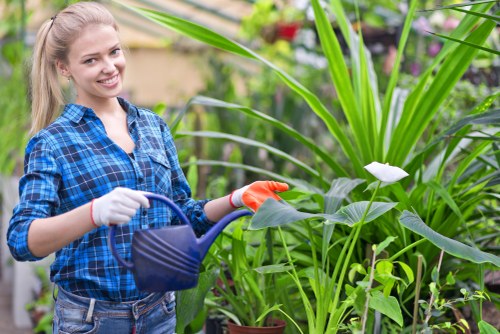 A young woman with long blonde hair, dressed in a blue plaid shirt and wearing gardening gloves, is watering a lush, green outdoor garden with a navy blue watering can. She is standing amidst a variety of tall, leafy plants, including broad-leafed greenery and flowering plants, in a well-maintained garden area. The background features additional potted plants and garden elements, with natural sunlight illuminating the scene, indicating a clear and bright day. The garden appears to be part of a landscaped outdoor space with diverse plant textures and vibrant shades of green and white flowers. This setting demonstrates a professional approach to gardening and outdoor maintenance, likely representative of services offered by Lawn Mowing Blackfriars, based in London, designed to keep garden spaces healthy and attractive, aligning with gardening service providers in the Blackfriars area.